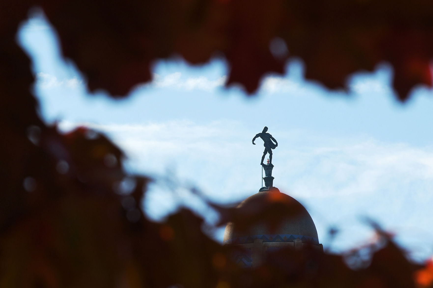 The Sower-2014